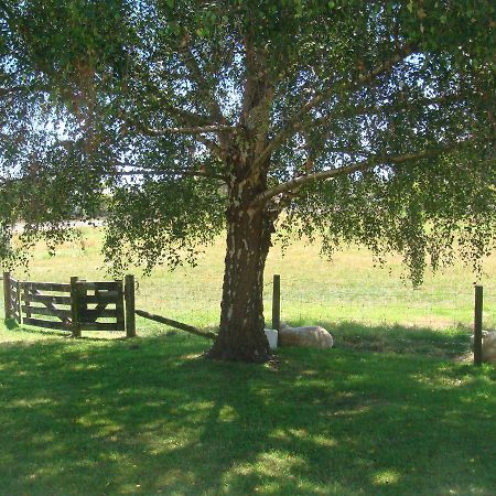 Woolshed Bed & Breakfast Takaka Bagian luar foto