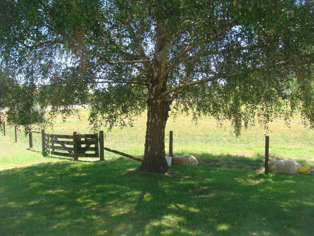 Woolshed Bed & Breakfast Takaka Bagian luar foto